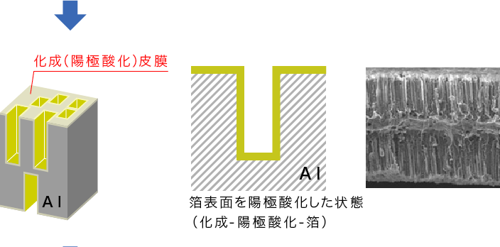 陽極酸化皮膜レプリカについて