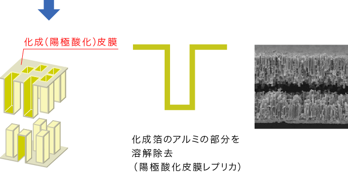 陽極酸化皮膜レプリカについて